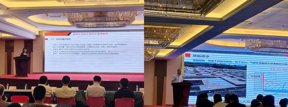 888�ڲ���-����Ϊ��,רҵ����