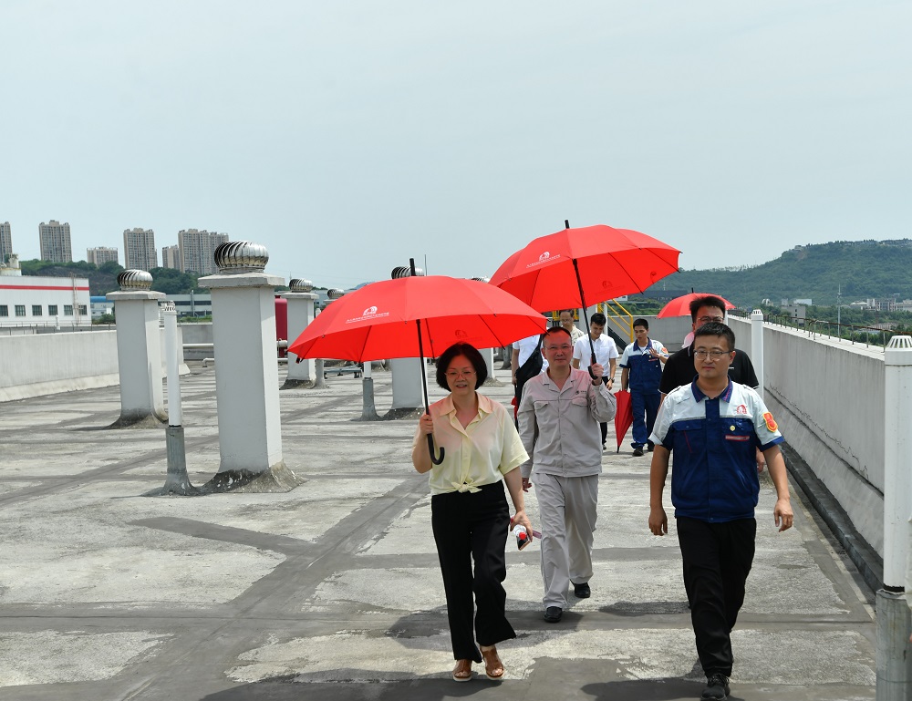 888�ڲ���-����Ϊ��,רҵ����