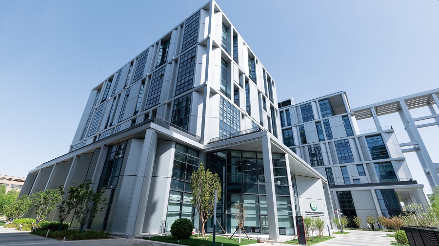 888�ڲ���-����Ϊ��,רҵ����