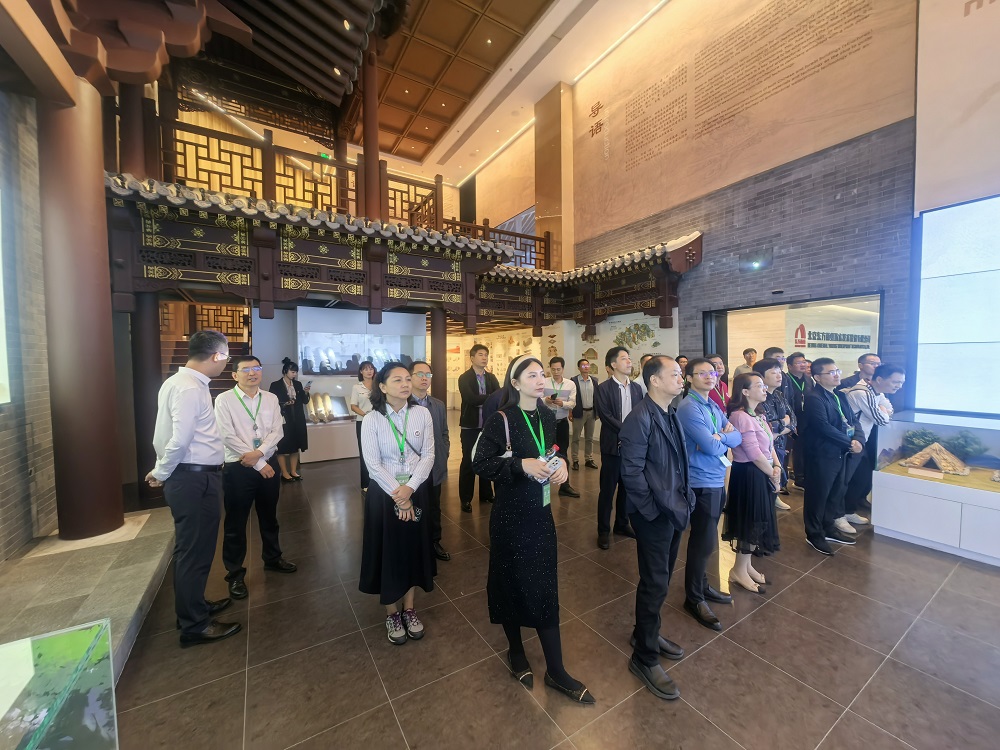 888�ڲ���-����Ϊ��,רҵ����