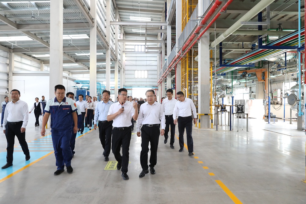 888�ڲ���-����Ϊ��,רҵ����