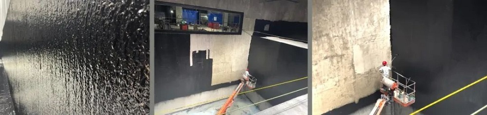 888�ڲ���-����Ϊ��,רҵ����