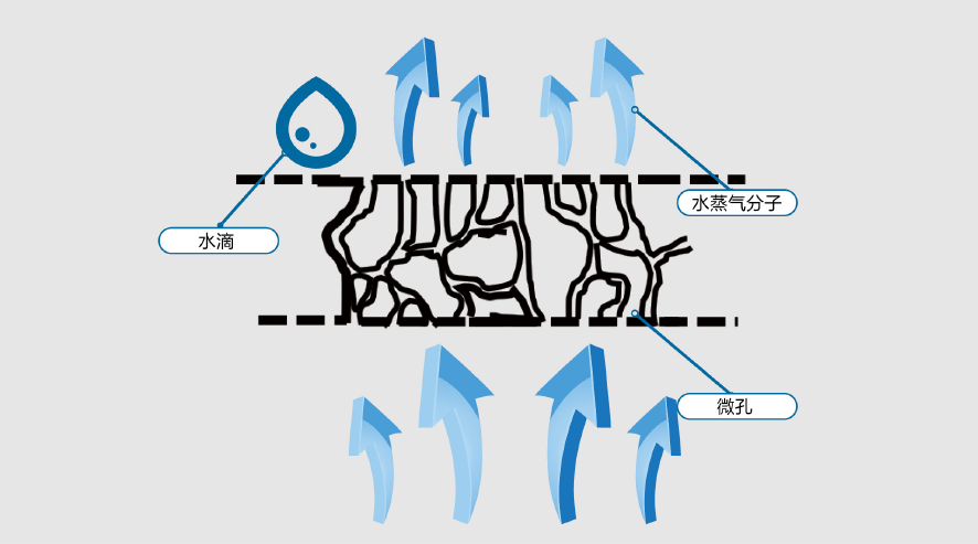888�ڲ���-����Ϊ��,רҵ����