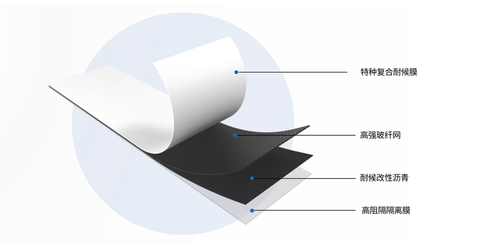 888�ڲ���-����Ϊ��,רҵ����