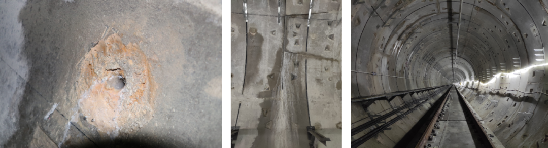 888�ڲ���-����Ϊ��,רҵ����