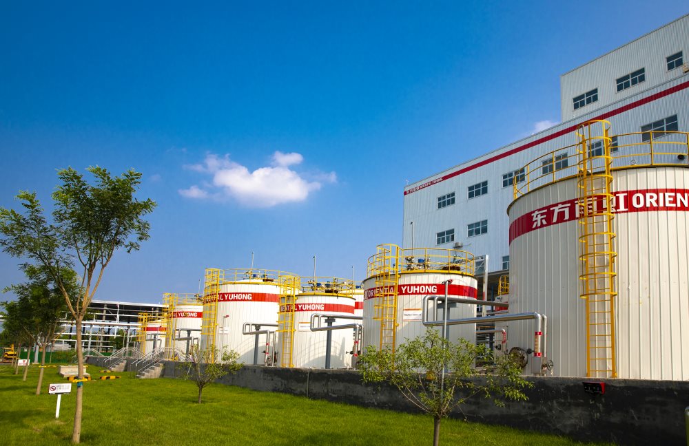 888�ڲ���-����Ϊ��,רҵ����