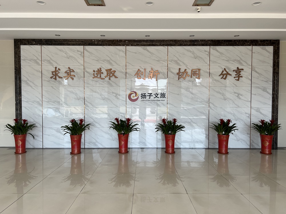 888�ڲ���-����Ϊ��,רҵ����