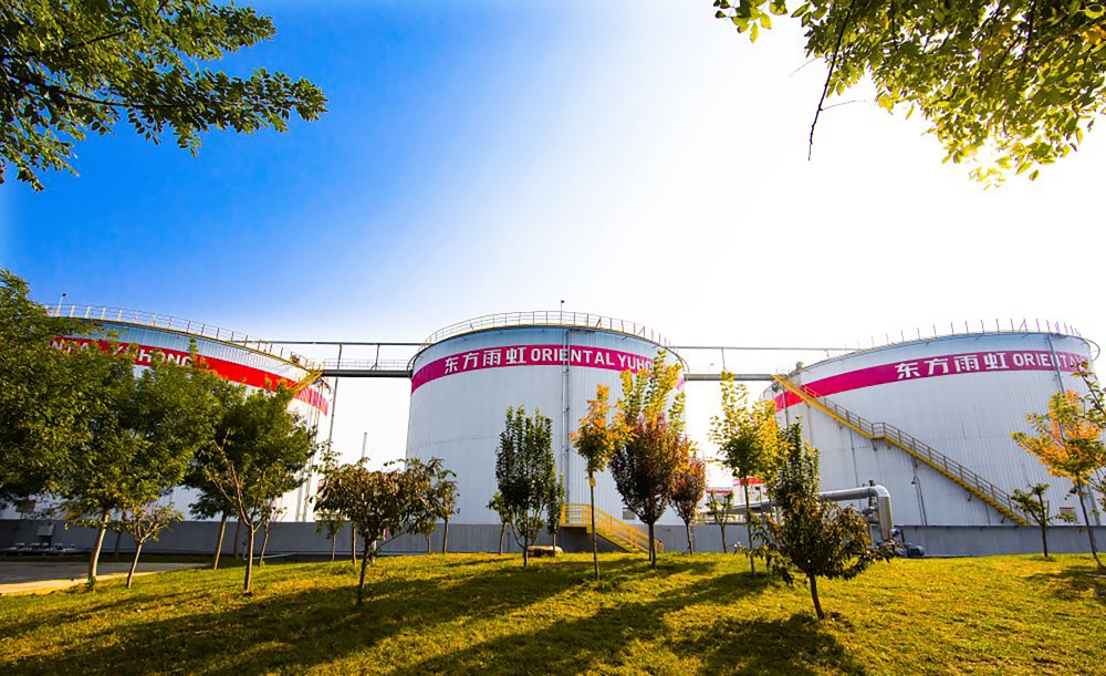 888�ڲ���-����Ϊ��,רҵ����