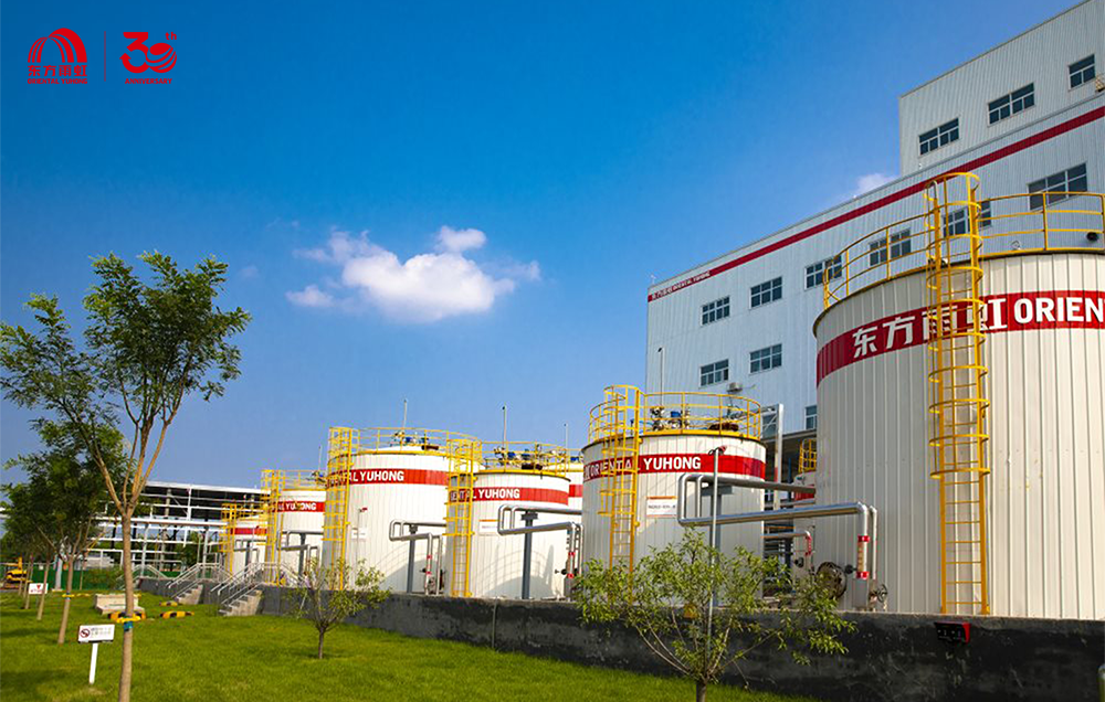 888�ڲ���-����Ϊ��,רҵ����