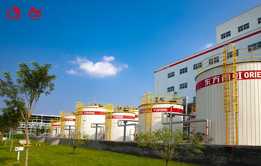 888�ڲ���-����Ϊ��,רҵ����