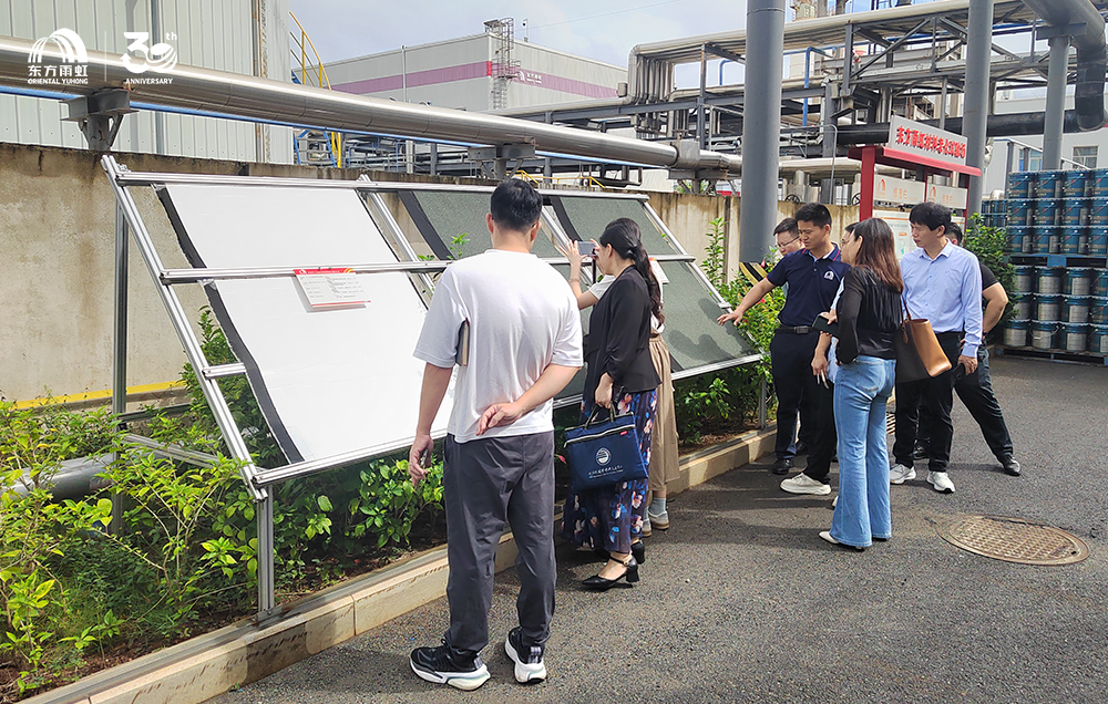 888�ڲ���-����Ϊ��,רҵ����