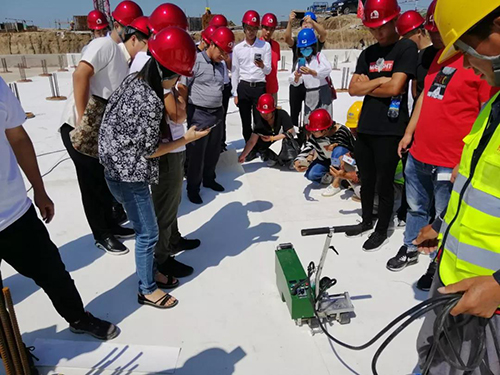 888�ڲ���-����Ϊ��,רҵ����